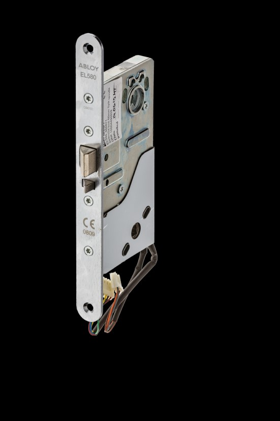 2587 hage-rigle (skydedør)